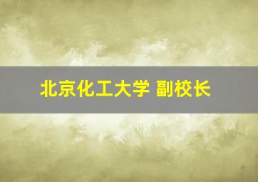 北京化工大学 副校长